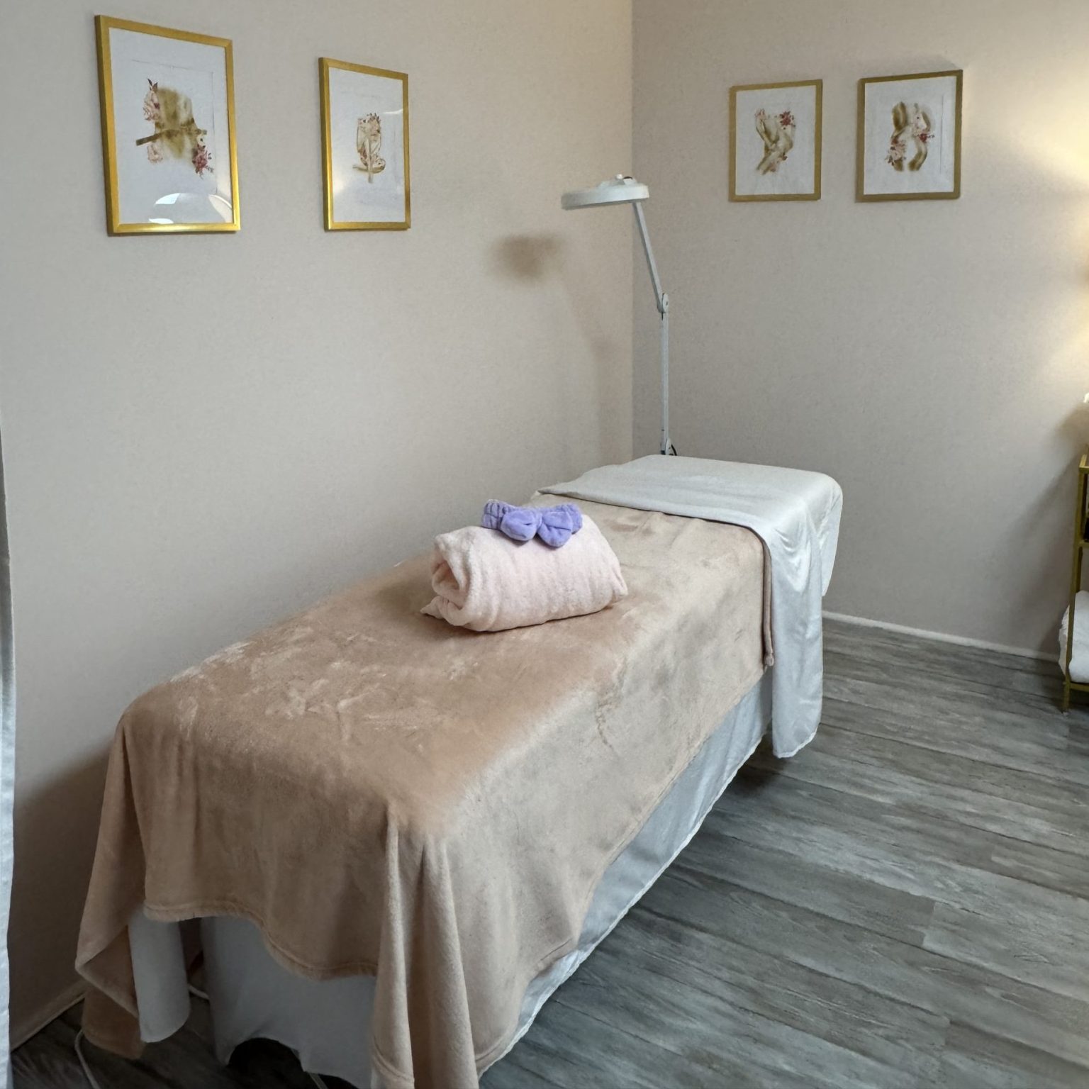 Palm Beach Body Sculpting & Skin treatment room
